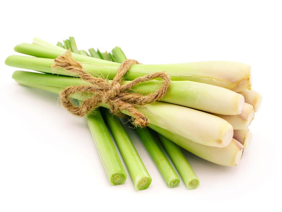 Lemongrass Alcezar-en